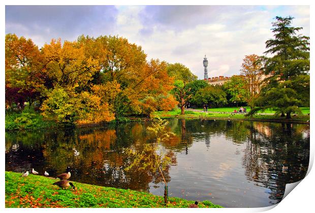 Autumnal Splendour in Regents Park Print by Andy Evans Photos
