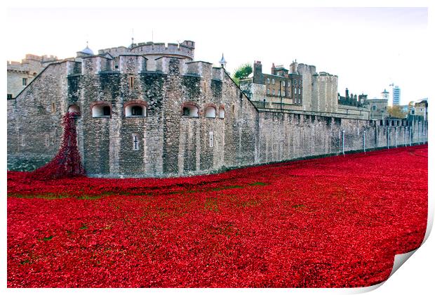 London Tower's Sea of Red Poppies Print by Andy Evans Photos