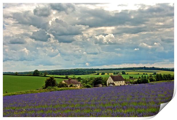 Enchanting Lavender Panorama of Cotswolds Print by Andy Evans Photos