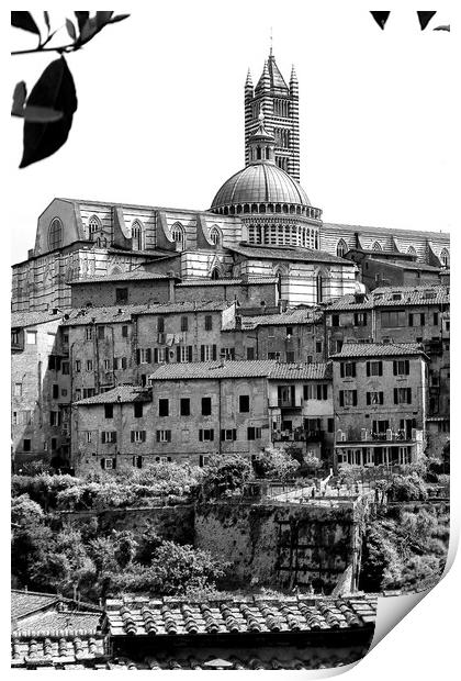 Siena Skyline Cityscape Tuscany Italy Print by Andy Evans Photos