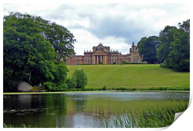 Grounds of Blenheim Palace Woodstock Oxfordshire England UK Print by Andy Evans Photos