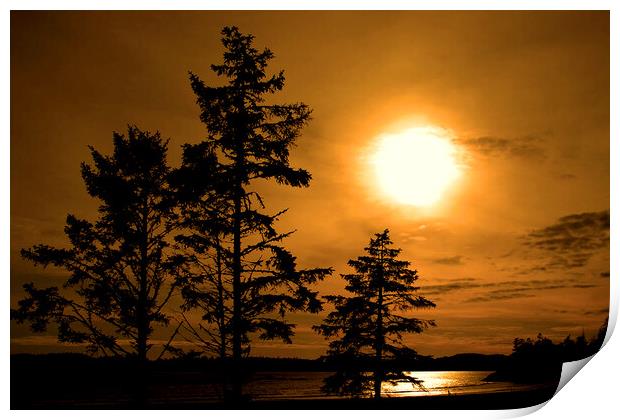 Sunset Long Beach Tofino Vancouver Island Canada Print by Andy Evans Photos