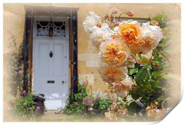 Roses in a country garden Print by Andy Evans Photos