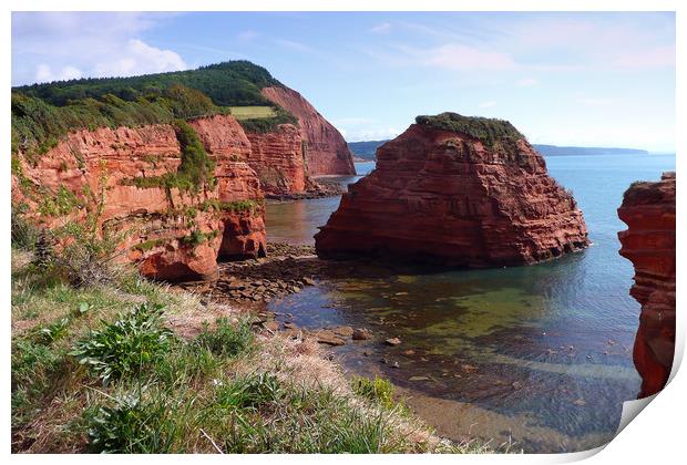 Ladram Bay Jurassic Coast Devon Print by Andy Evans Photos