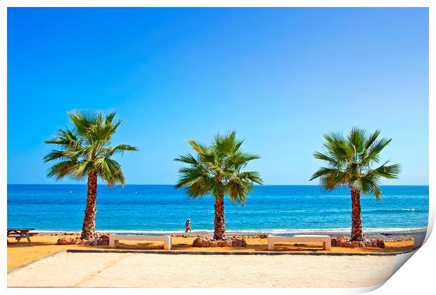 Palm trees Torrox Costa Del Sol Spain Print by Andy Evans Photos