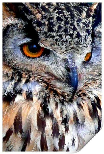 European Eagle Owl Bird of Prey Print by Andy Evans Photos