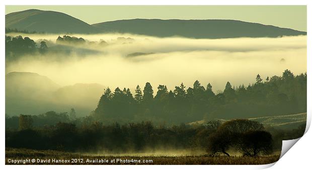 Morning Mist Print by David Hancox