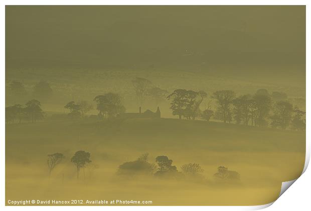 Golden Mist Sunrise Print by David Hancox