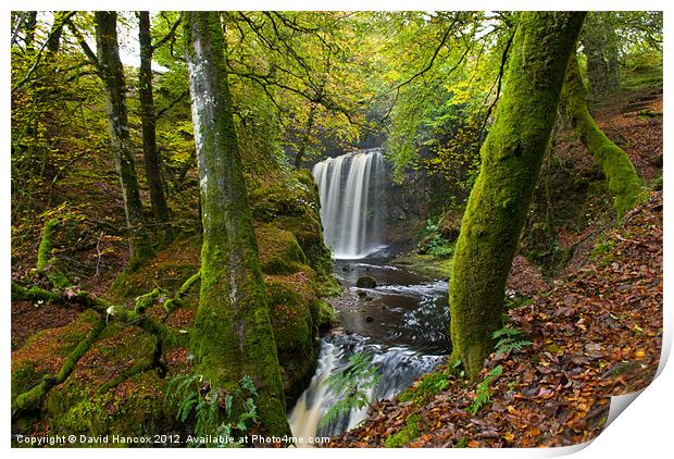 Hidden Falls Print by David Hancox