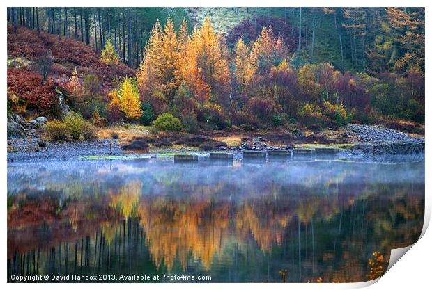 Autumn Reflections Print by David Hancox