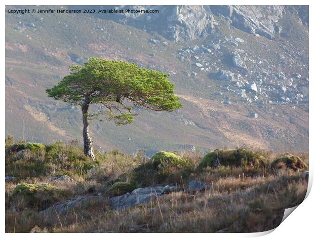 Lone Pine Tree Print by Jennifer Henderson