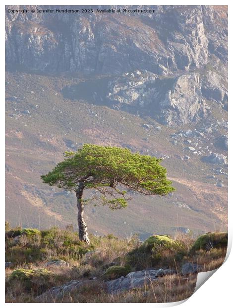 Lone Pine Tree #2 Print by Jennifer Henderson