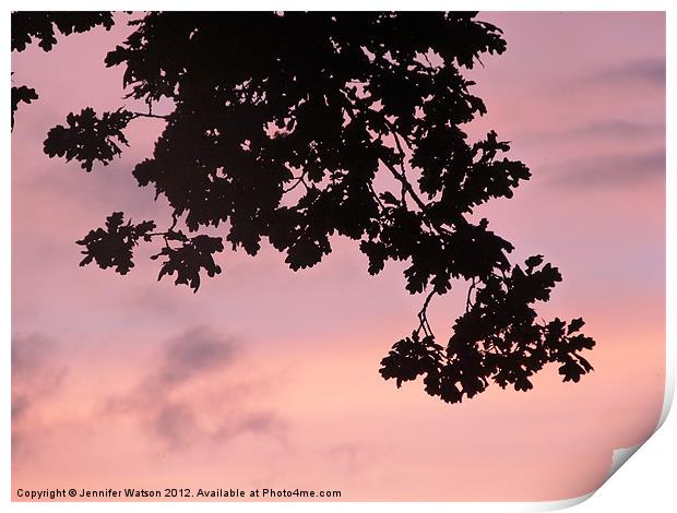 Oak Sunset Print by Jennifer Henderson