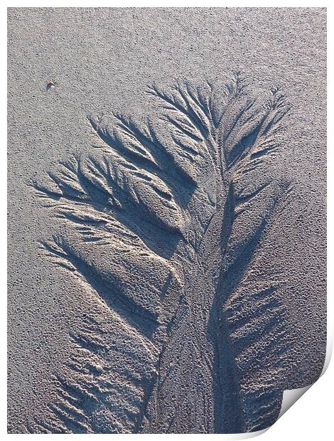 Sand Tree 1 Print by Jennifer Henderson