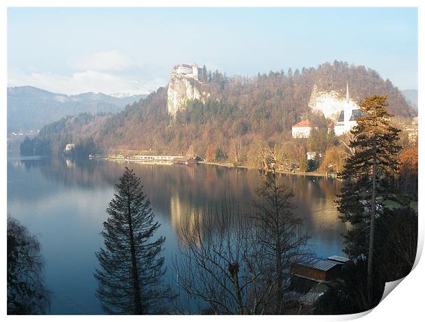 Bled Castle, Slovenia Print by Ian McNicholls