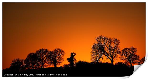 Tree line sunset Print by Ian Purdy