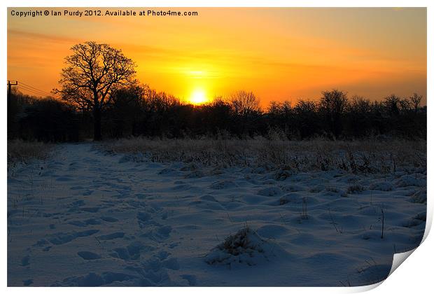Winter sunrise Print by Ian Purdy