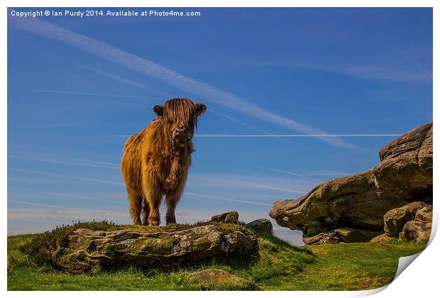 Stand alone Print by Ian Purdy