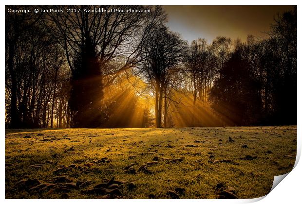 Winter rays Print by Ian Purdy