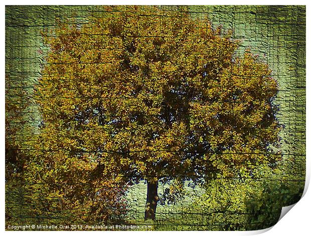Ye Old Oak Tree Print by Michelle Orai