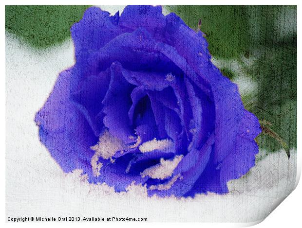 Cold Blue Rose Print by Michelle Orai