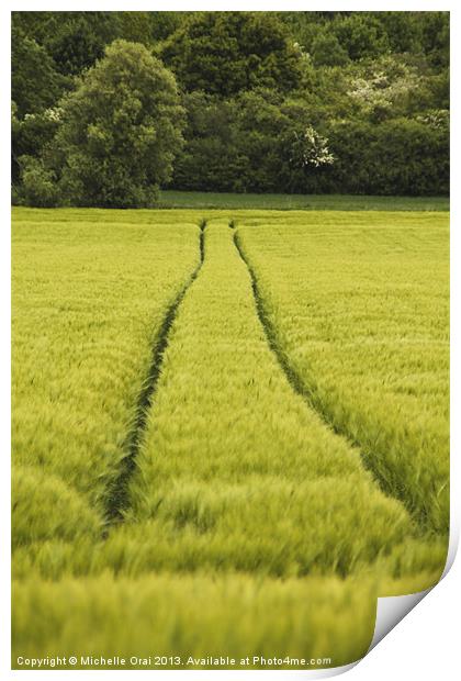 Tractor Trails Print by Michelle Orai