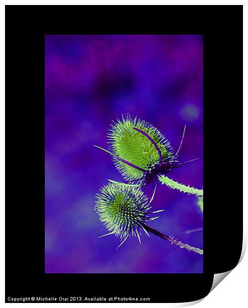 Green and Purple Teasel Print by Michelle Orai