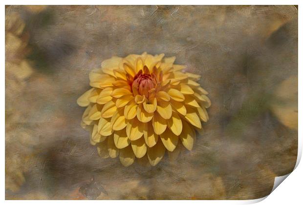 Dahlia Print by Michelle Orai