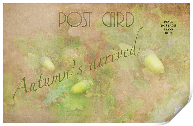 Autumn Postcard Print by Michelle Orai