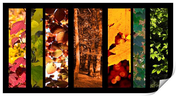 Colours of Autumn Print by Michelle Orai