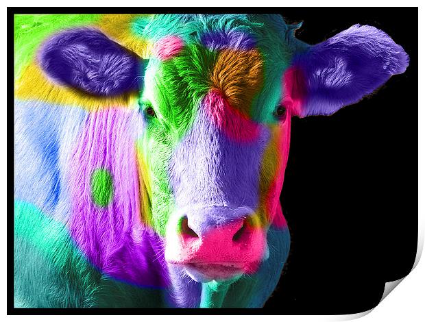 Colourful Cow Print by Michelle Orai
