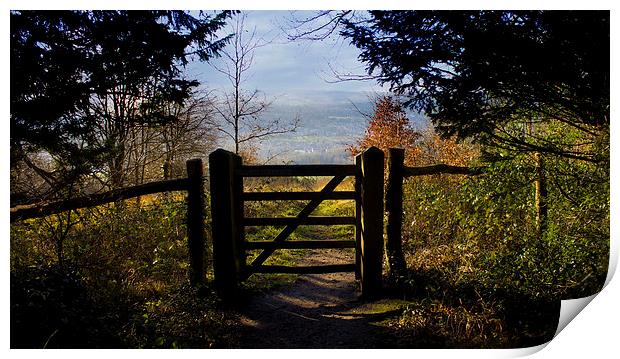 Gateway to the countryside Print by Michelle Orai
