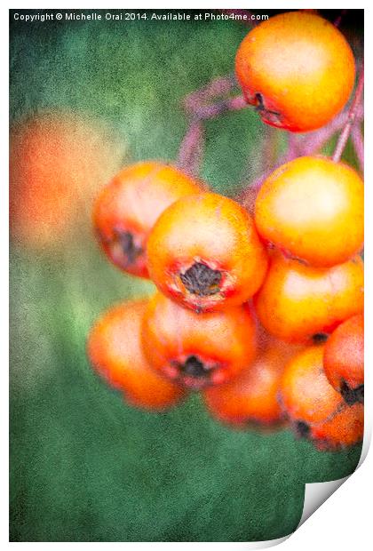 Orange Winter Berries Print by Michelle Orai