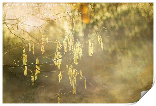 Hazel Catkins Print by Michelle Orai