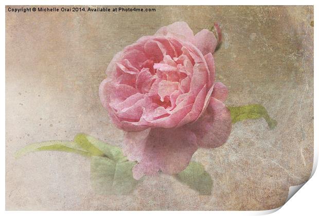 Vintage Rose Print by Michelle Orai
