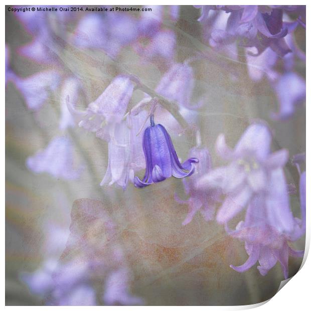 Perfect Bluebell Print by Michelle Orai