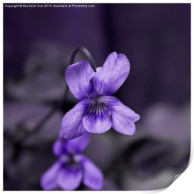 Tiny Violet Print by Michelle Orai