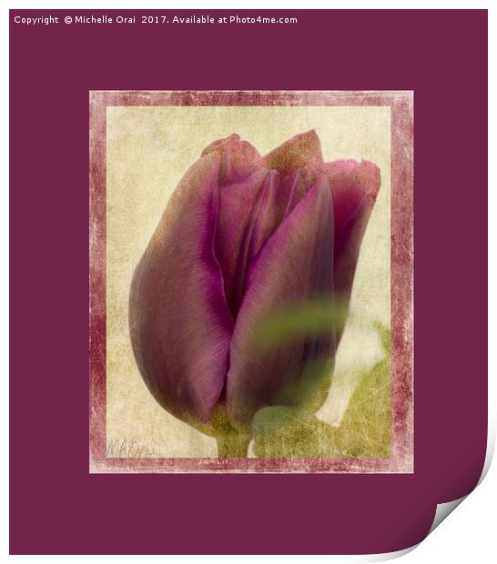 Deep Purple Tulip Print by Michelle Orai