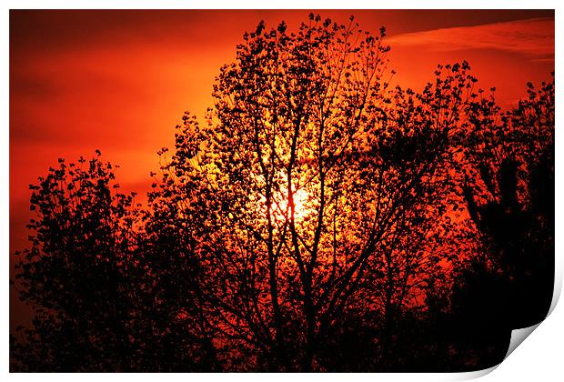 Norfolk summer sunset Print by dennis brown