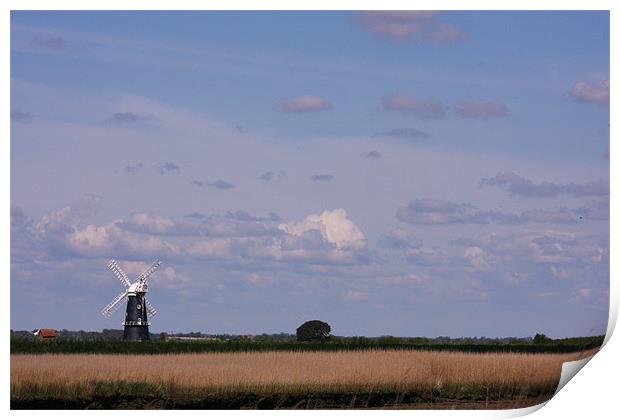 Berney Arms Windmill Print by Linda Brown