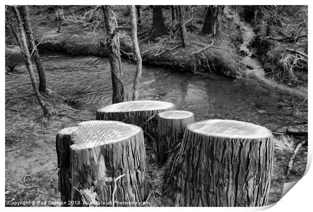 Stumped BW Print by Rod Ohlsson