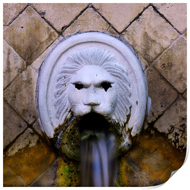 Fountain head Print by Rod Ohlsson