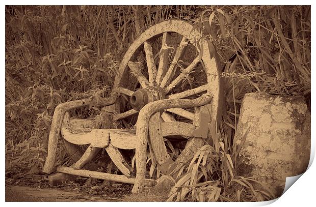 Vintage Bench Print by Rod Ohlsson