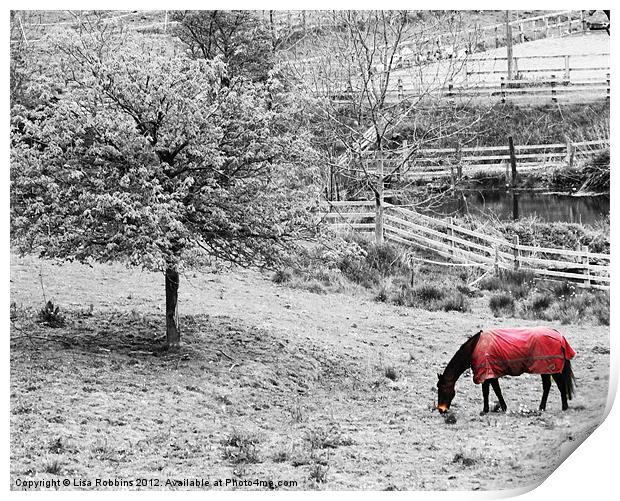 Winter horse Print by Loren Robbins