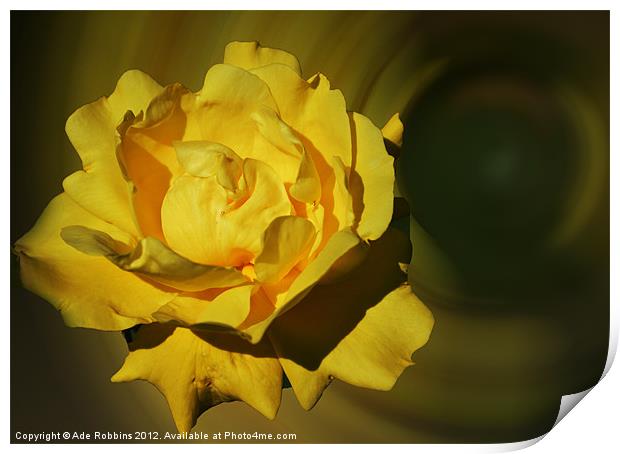 Yellow Flower Print by Ade Robbins