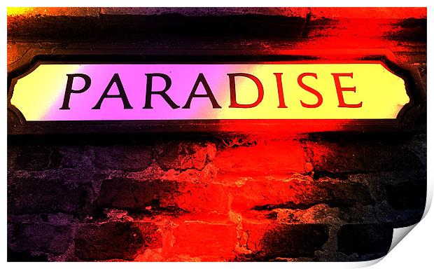 Another Day in Paradise Print by Ade Robbins