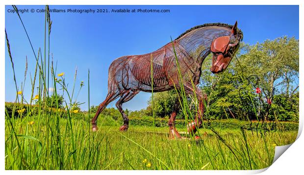 The Featherstone War Horse - 6 Print by Colin Williams Photography