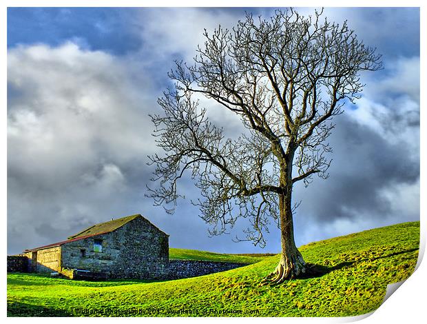 Keld Pasture Print by Colin Williams Photography