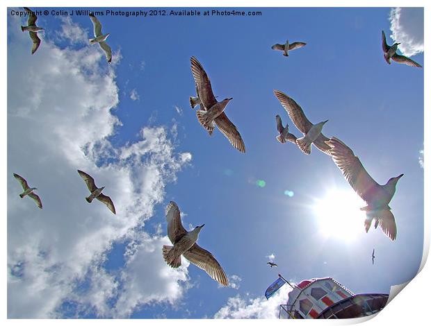 Brighton Seagulls Print by Colin Williams Photography