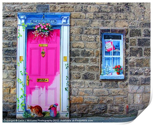 2D Door And Window Print by Colin Williams Photography